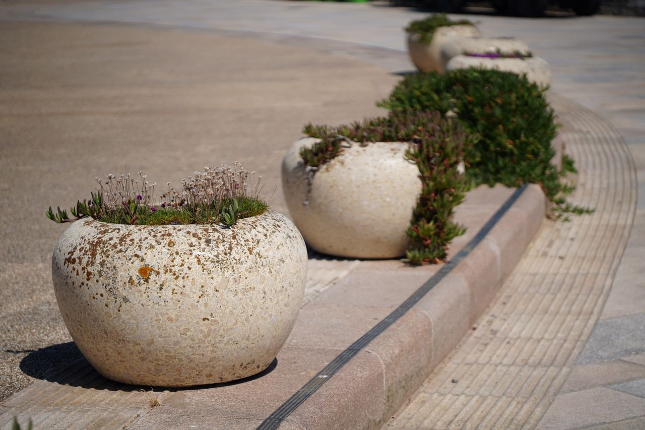 Tamron 35-100mm f/2.8 Di III VXD sample image