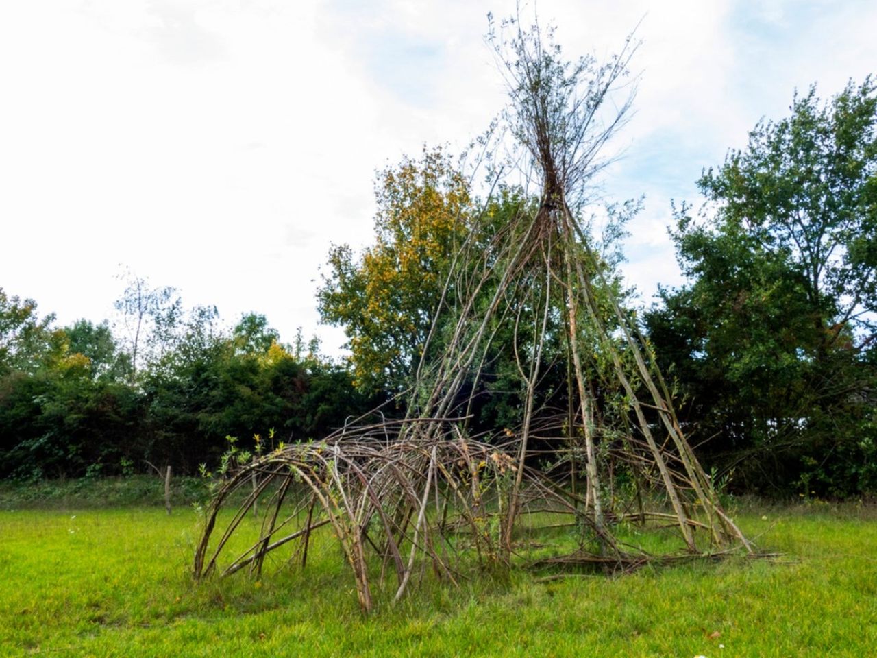 A Living Willow Dome Structure