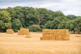 hay bales