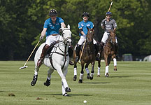 polo17.jpg