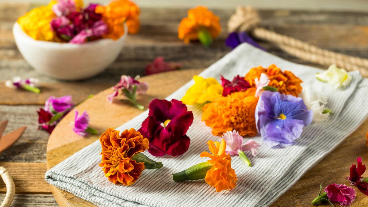 Types of Edible Flowers and How to Use Them - Latest Help & Advice