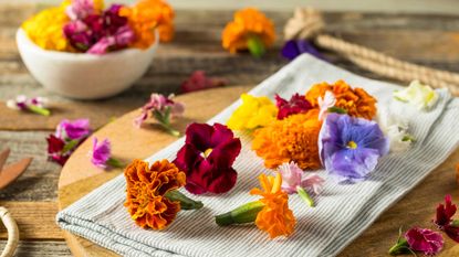 edible flowers