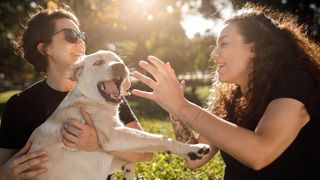 Dog sitting on owners lap in park making funny face as woman reaches out to pet him