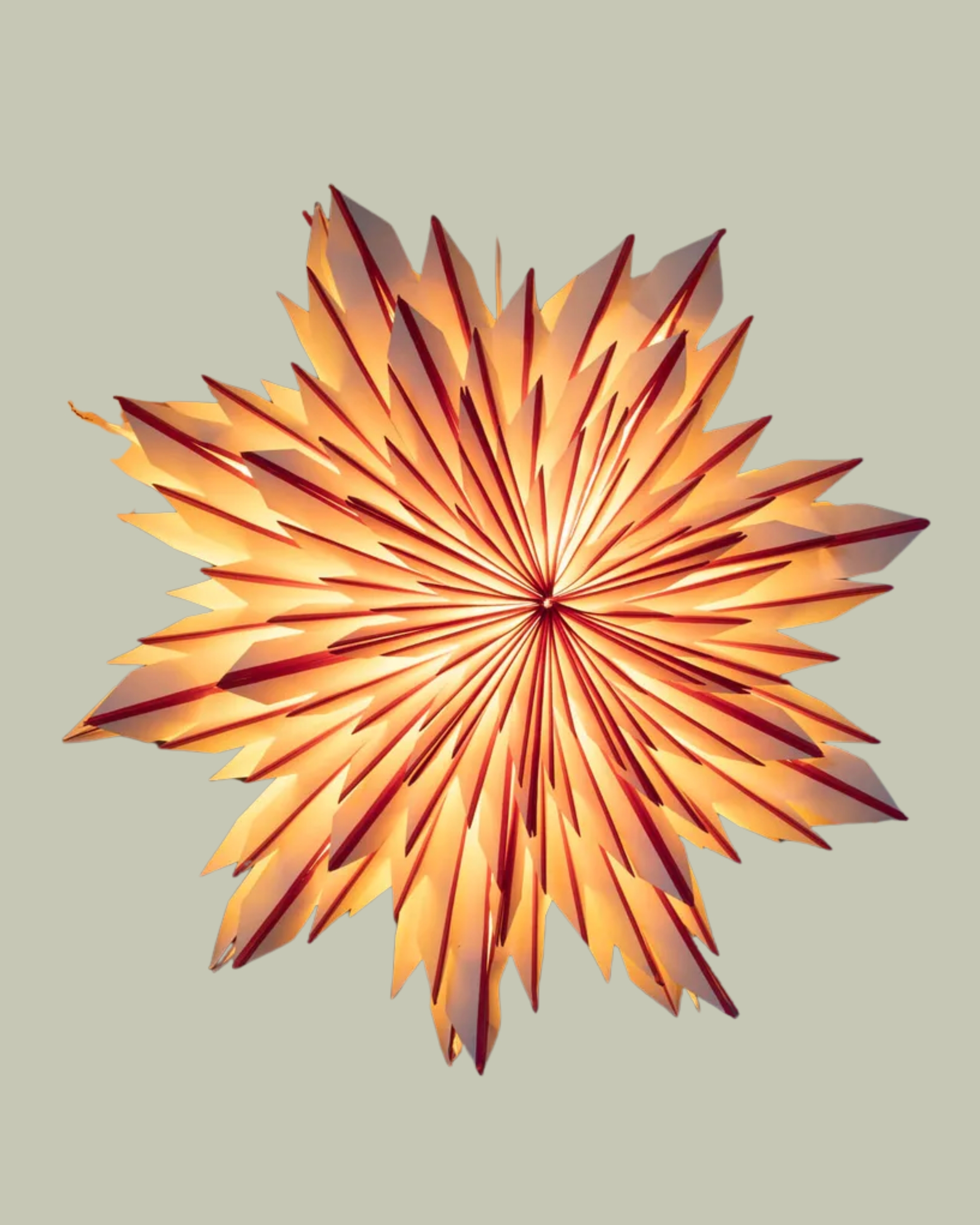 Graham &amp;amp; Green , Colored Paper Shades