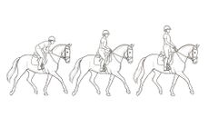 Web-diagrams14-1.jpg