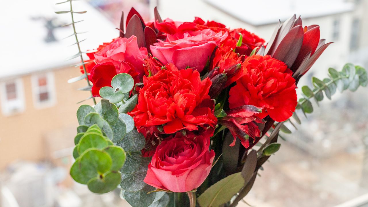 Valentine's Day flowers