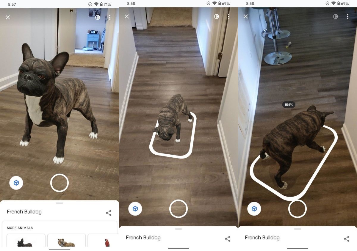 بولداگ فرانسوی در نمای AR حیوانات و اشیاء سه بعدی Google