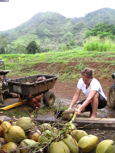 Jojo gets to work chopping coconuts