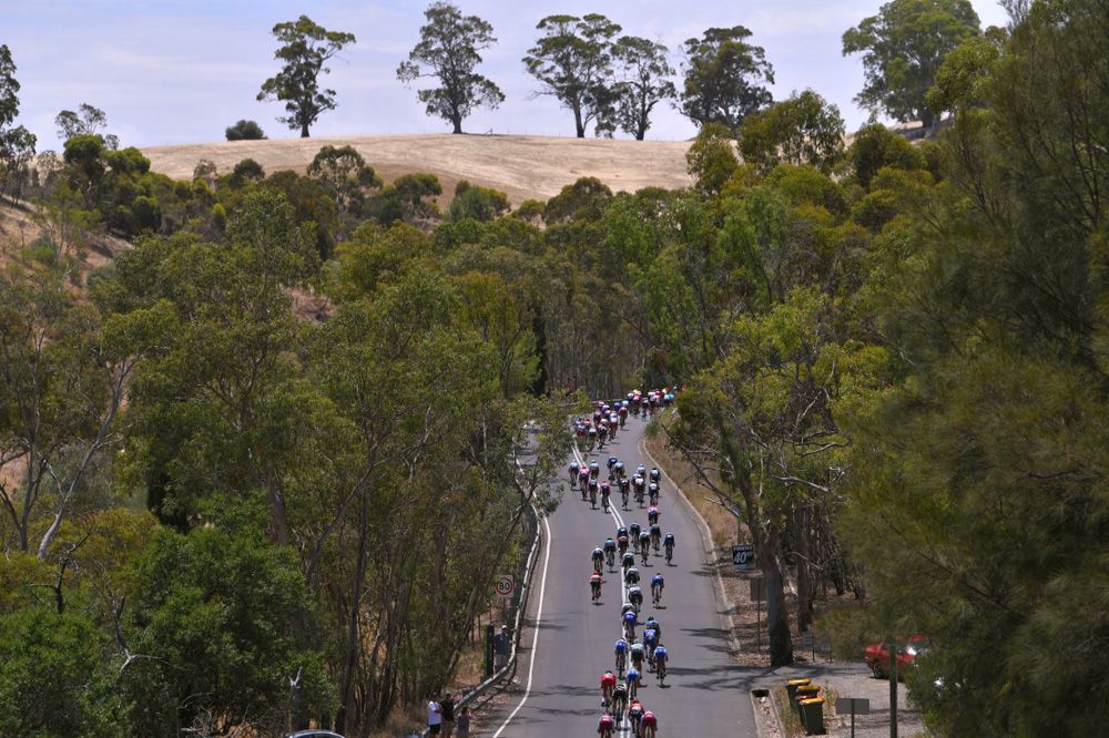 A descent lines out the peloton