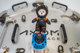 a small stuffed bear in a black spacesuit floats in front of white spacecraft hatch.