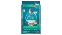 Purina ONE Sensitive Skin & Stomach Dry Cat Food pack shot