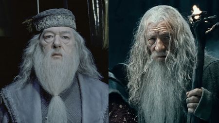Albus Dumbledore facing down the Dark Lord, Gandalf preparing to face off against the Balrog. 