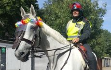 police horse keston