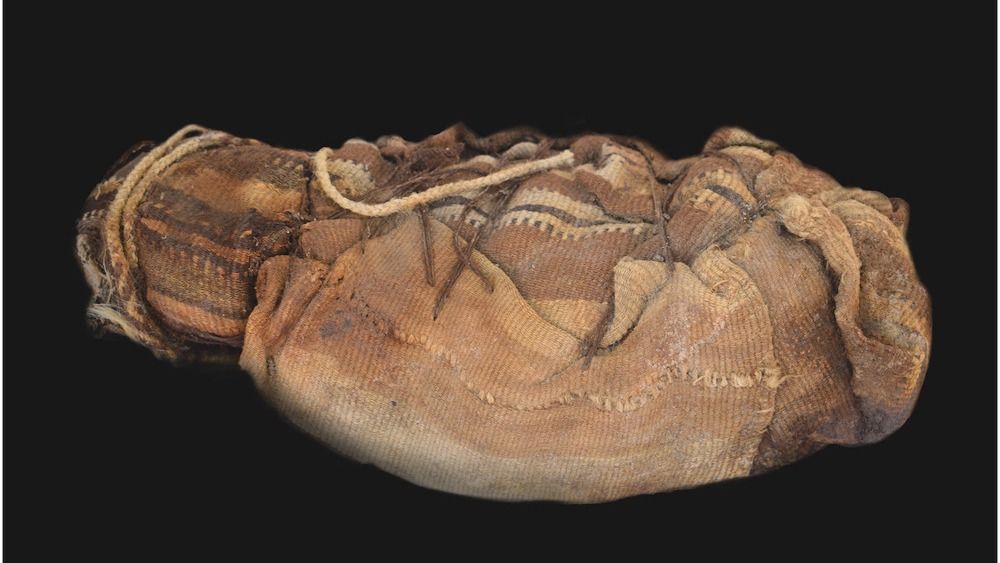 Psychoactive plant consumption confirmed in the hair of trophy heads