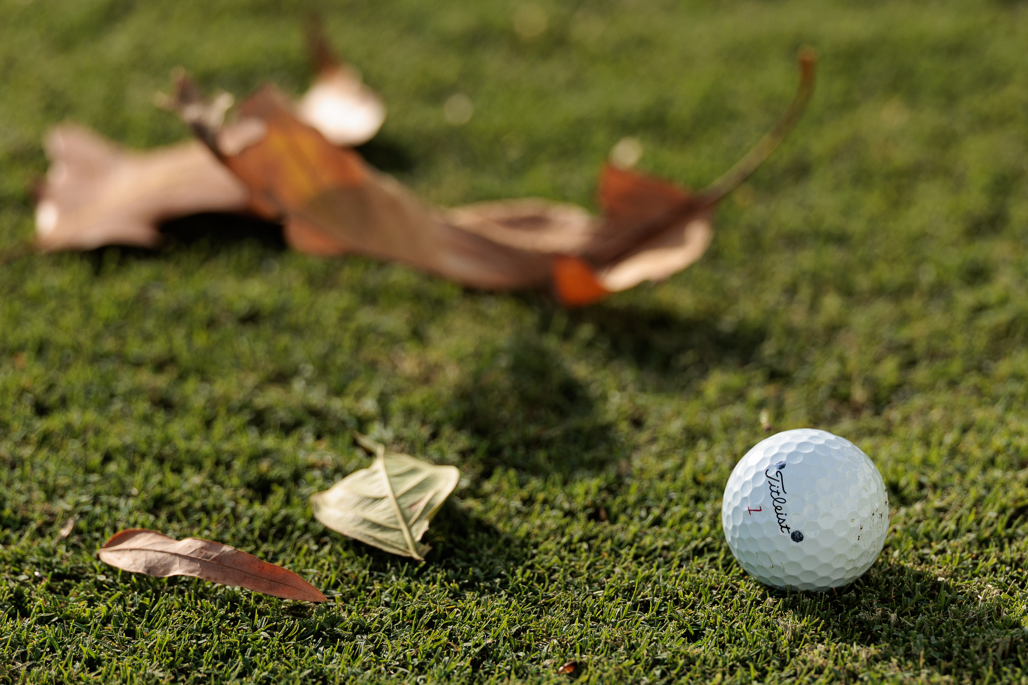 A close up of a Titleist Pro V1 golf ball