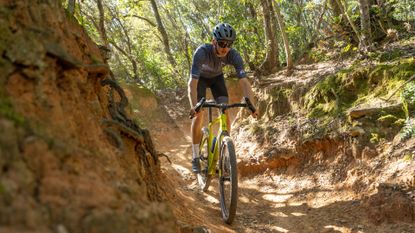 Wilier Adlar being ridden down technical trail head on shot