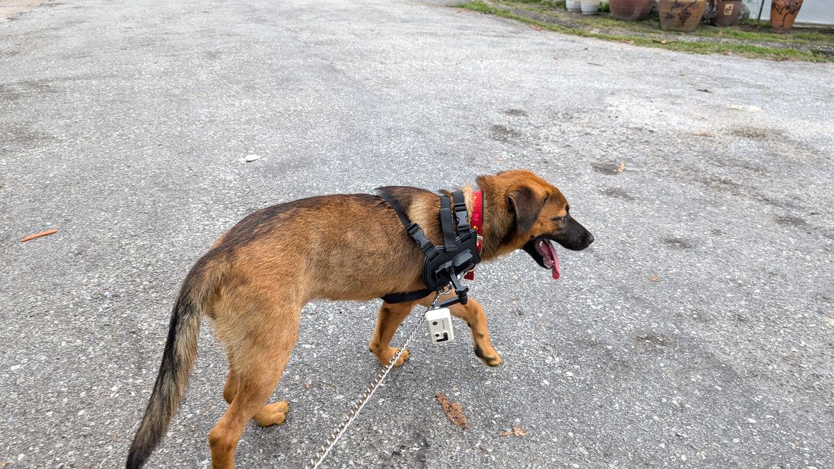 Enabot ROLA PetTracker