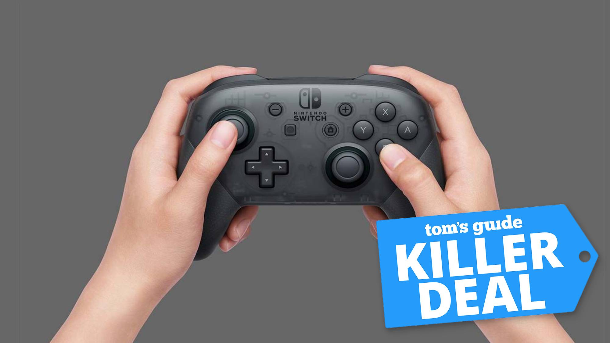 switch pro controller hd rumble