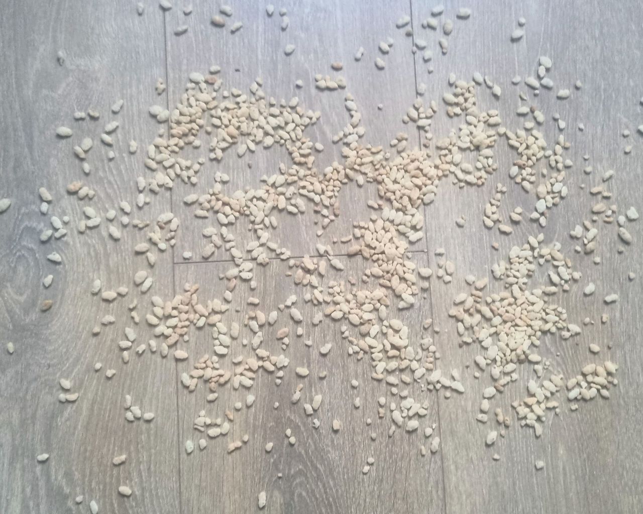 A wooden floor with rice krispies on it