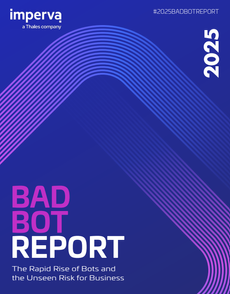 2025 Bad Bot Report
