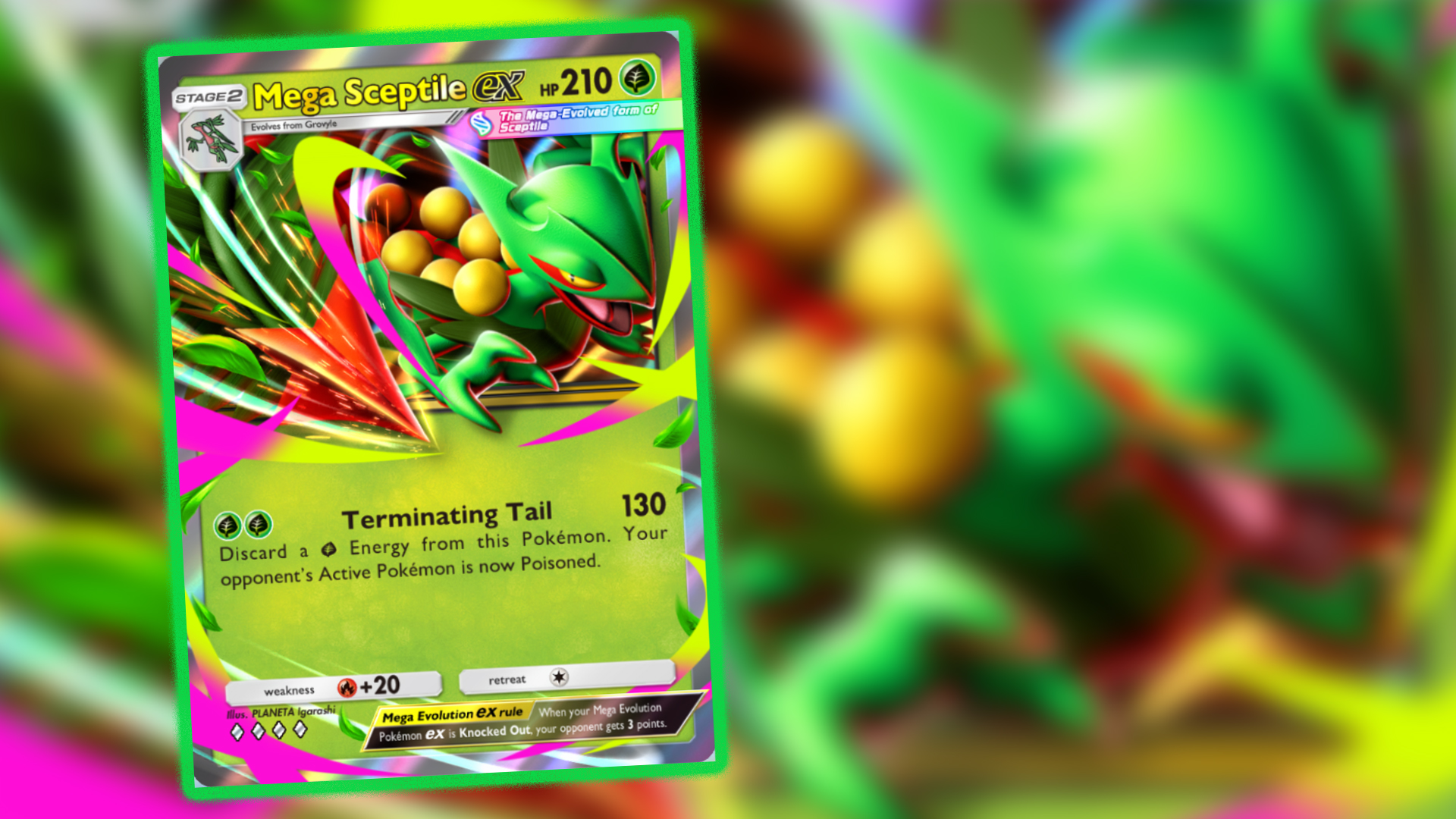 Mega Sceptile ex in Pokemon TCG Pocket
