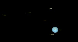 a pale blue orb floats in black, labeled uranus. Small points are labeled Cressida, Miranda, Ariel, Umbriel and Titania.