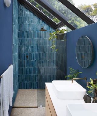 blue bathroom, shower space