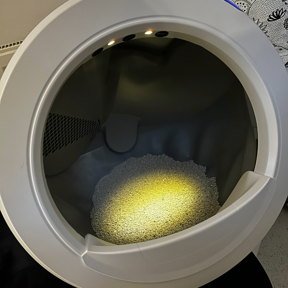 Jo's Litter-Robot 4 with the night light on
