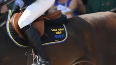 European riders are awaiting selection for the European Showjumping Championship teams
