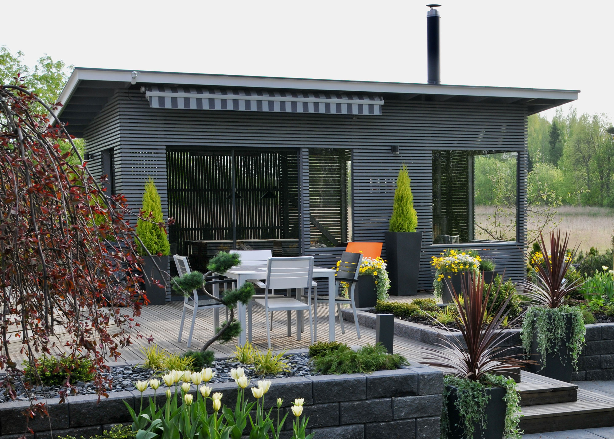 backyard deck design with plants, trees and garden furniture, with a garden studio