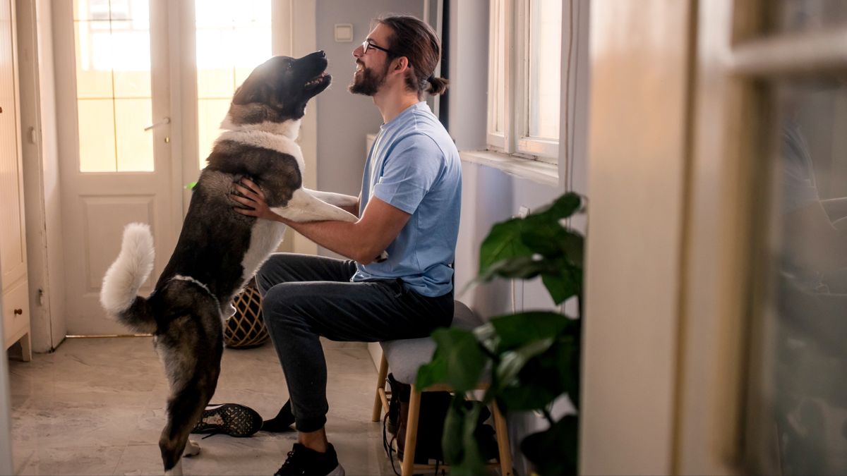 Dog jumping up on smiling man who&#039;s sat down