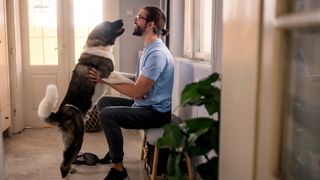 Dog jumping up on smiling man who's sat down