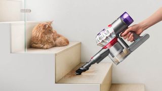 Dyson V7 Advanced Origin Cordless Vacuum being used as a handheld vacuum on the stairs next to a cat