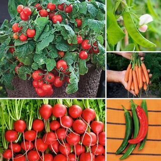 Collage of different vegetables