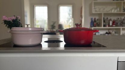 Le Creuset Round Casserole Dish with the Staub Round Cocotte