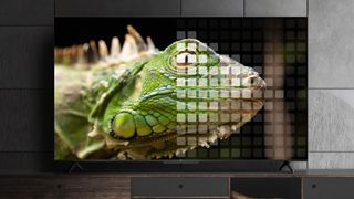 TCL 5-Series Google TV (S546) with iguana on screen