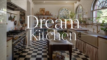 A small neutral kitchen with black and white checkerboard flooring, a narrow island, and lots of open storage with a 'dream kitchen' text overlay