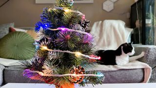 Govee Christmas String Lights on a small tree during testing