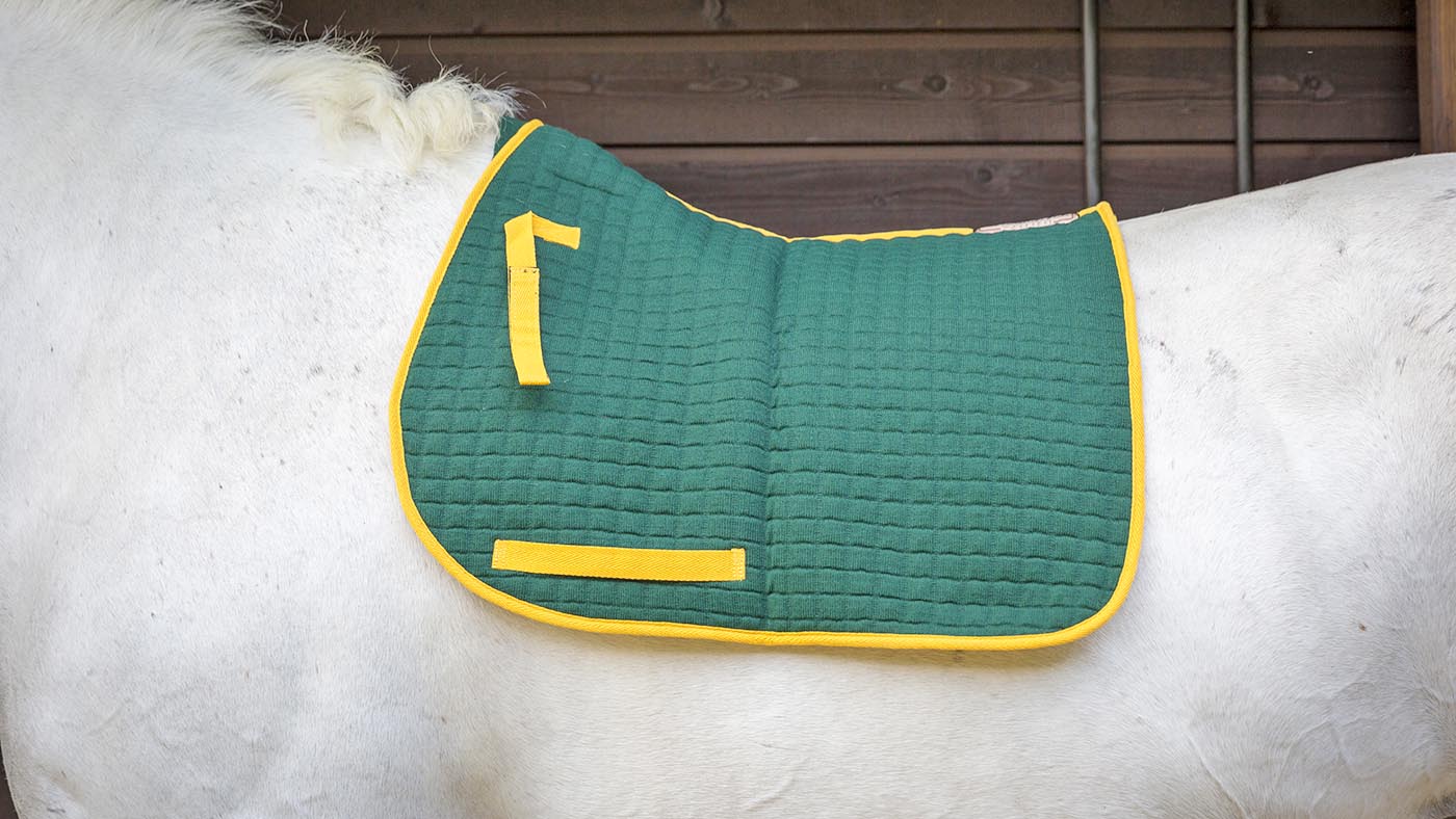 Thermatex quilted saddlecloth review