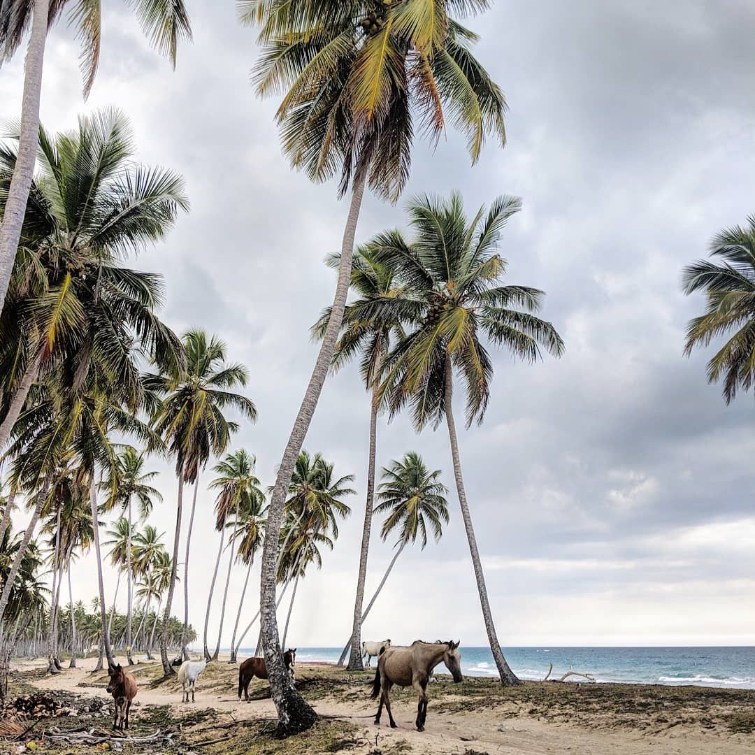 Playa Limón, Samaná, Dominican Republic