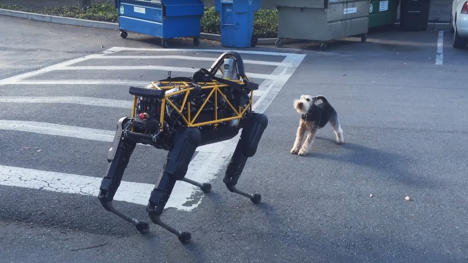 Teaching a robot is just like teaching an animal