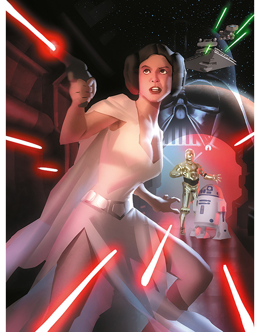 leia step 3