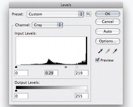 levels photo