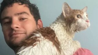 man saves cat from Hurricane Ian