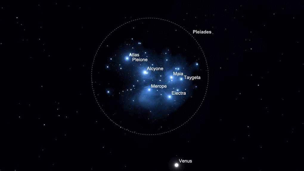 This simulated image shows Venus crossing the Pleiades star cluster from April 1 through April 4.