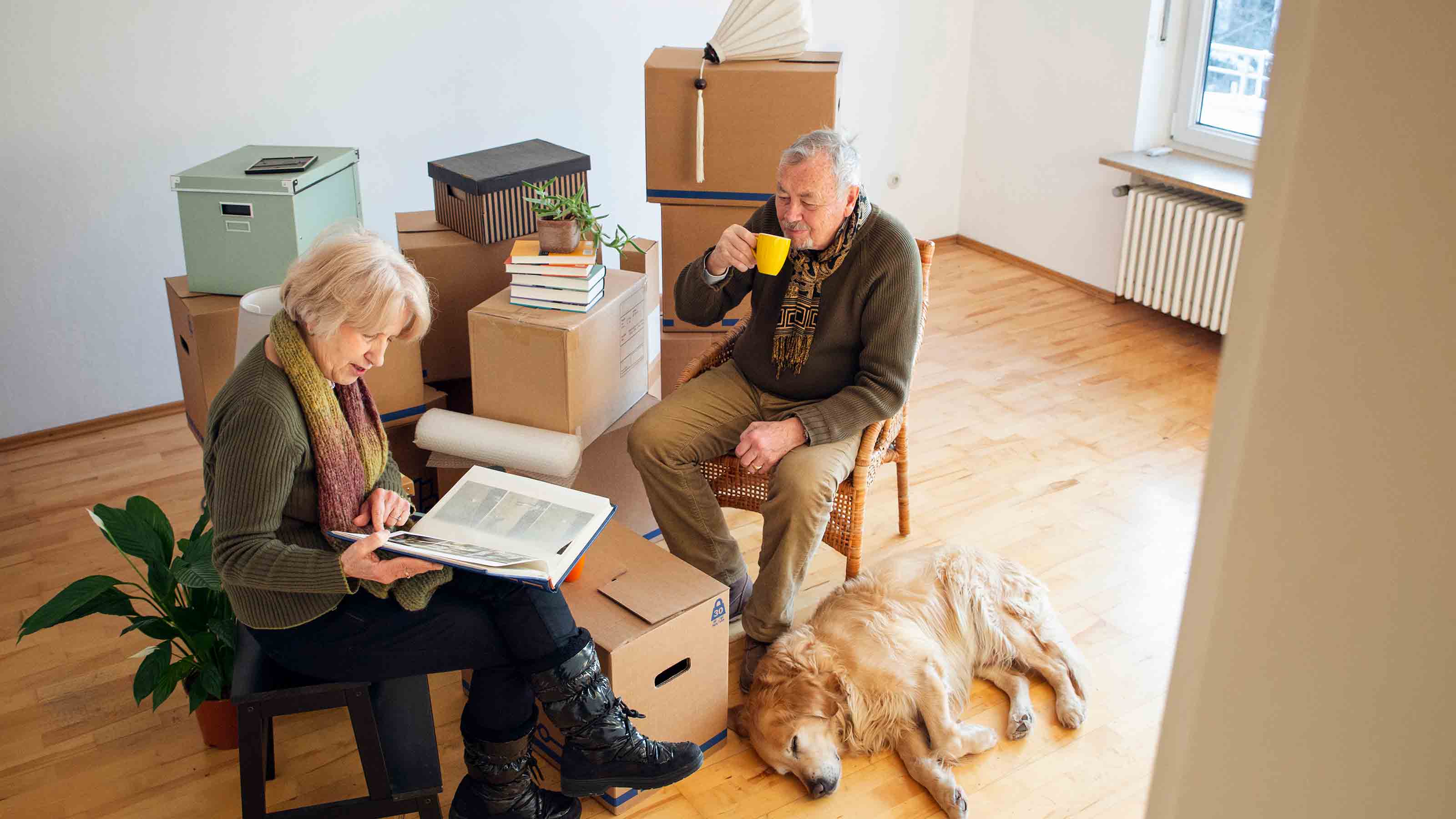 Senior couple having a break surrounded by cardboard boxes in an empty room 
