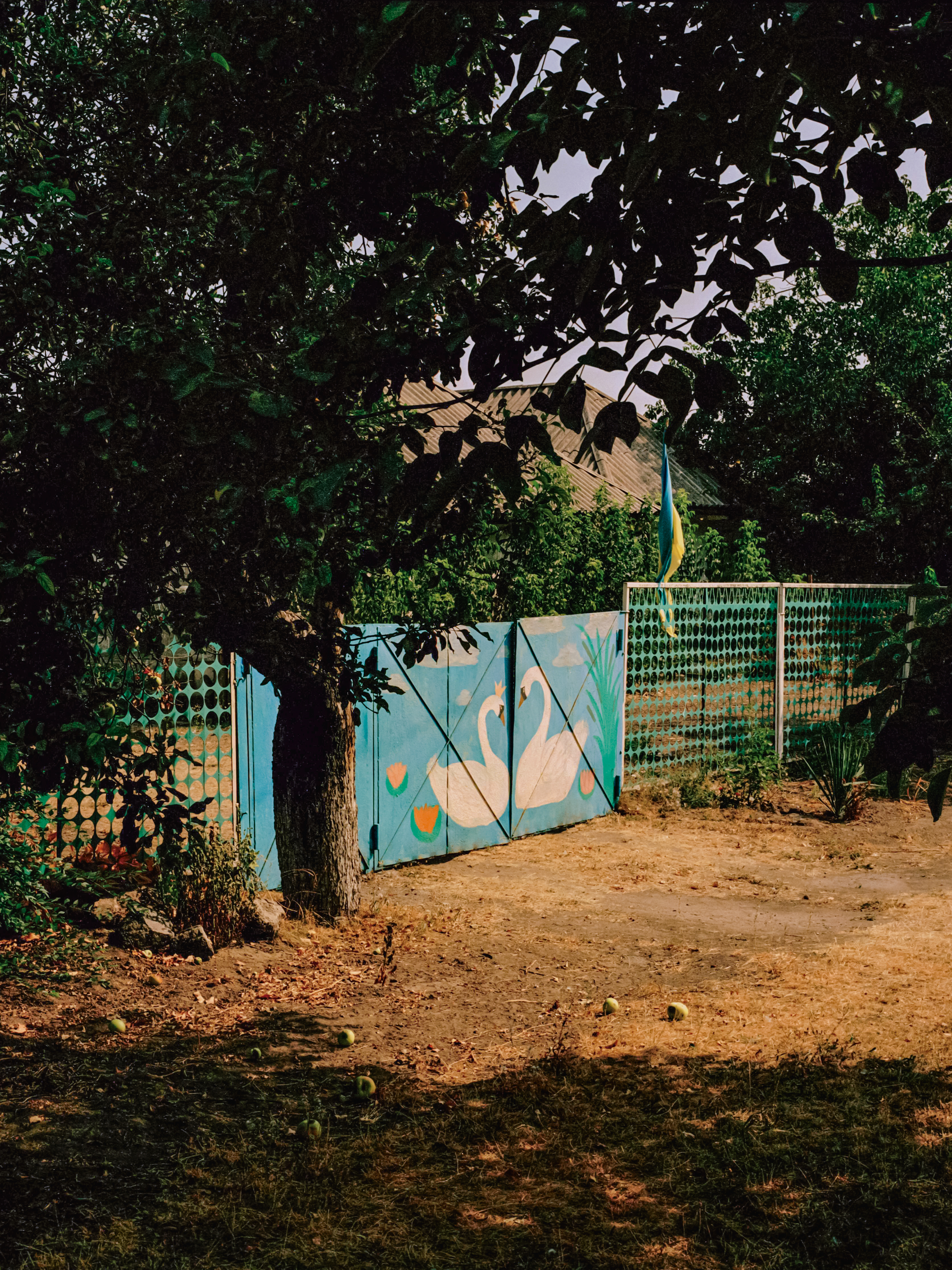 Eugenia Skvarska's photographs taken in Ukraine