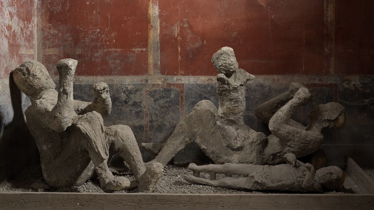 Pompeii victims aren't who we thought they were, DNA analysis reveals ...