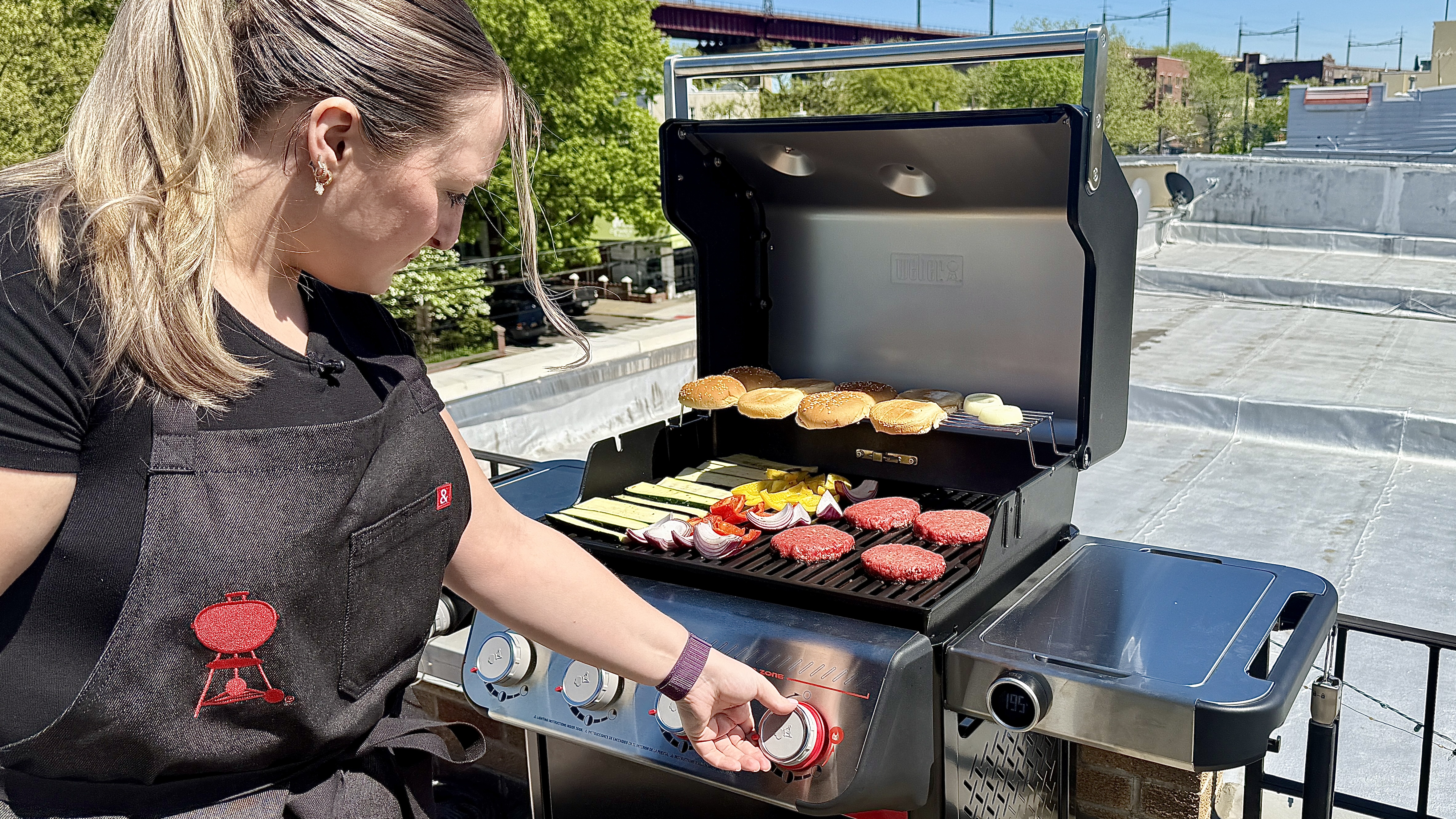 Cooking on Weber Spirit grill