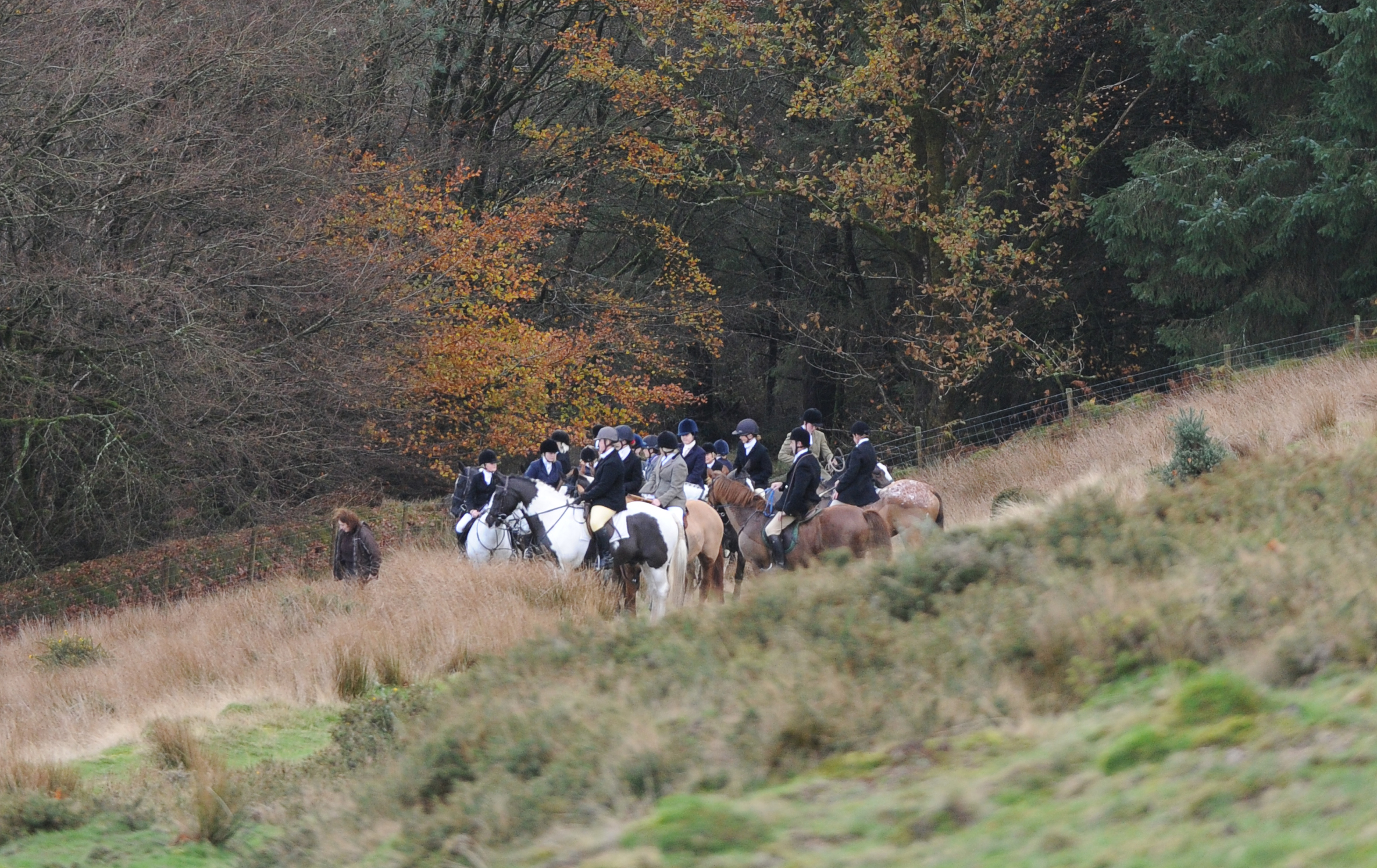 TowyandCothi_Hunt14pn_51581